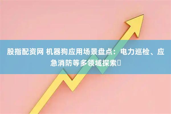 股指配资网 机器狗应用场景盘点:电力巡检、应急消防等多领域探索